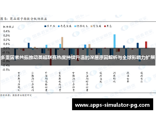 多重因素共振推动英超联赛热度持续升温的深层原因解析与全球影响力扩展